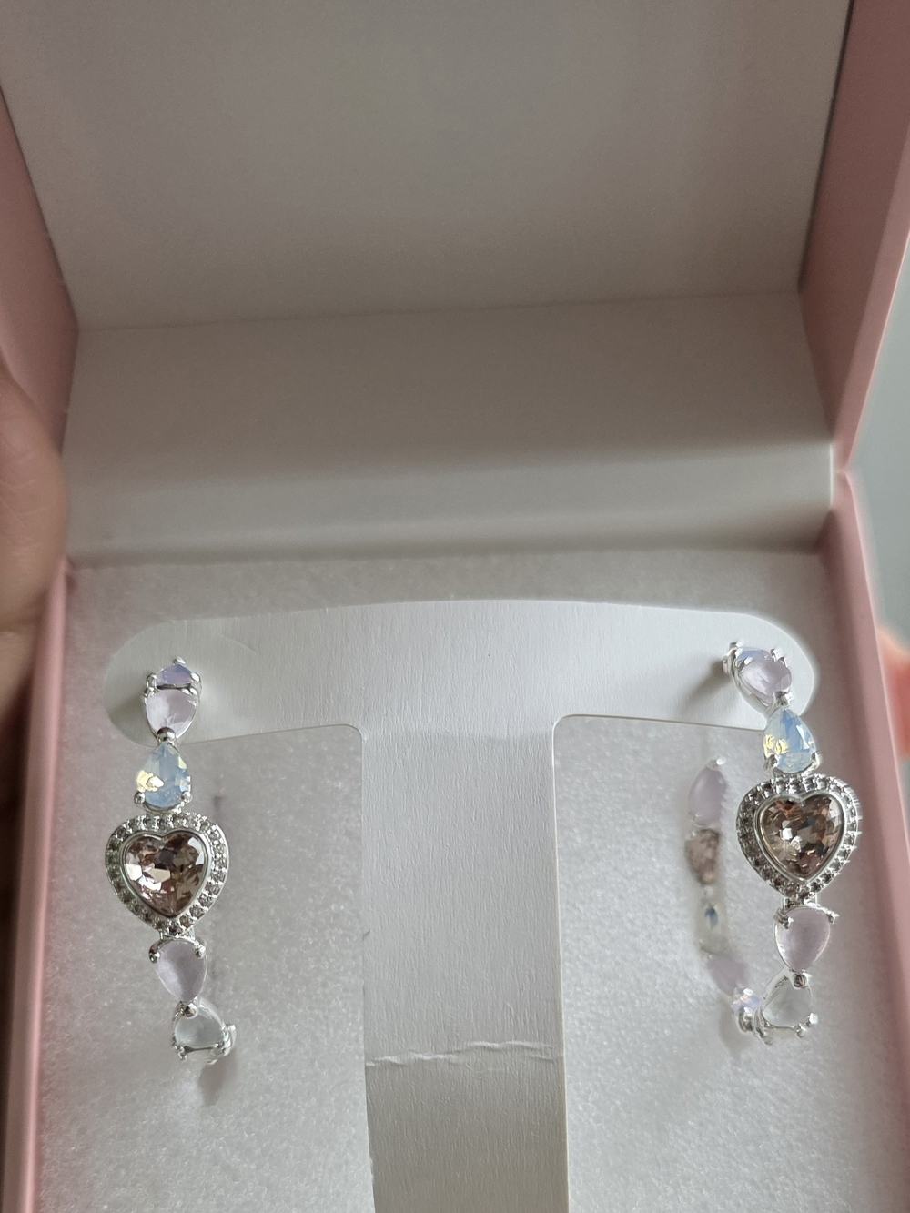 Fashioned To Fly Earrings - Desert Oasis (Silver Plating) - Picture 2 of 7